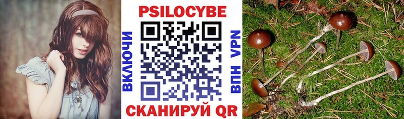 где купить наркоту  Иланский  Галлюциногенные грибы прущие грибы 